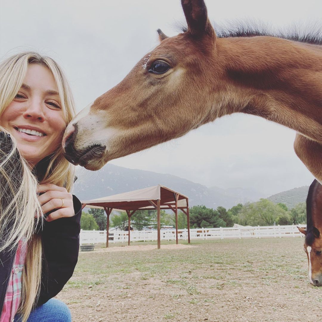 A photo showing Kaley Cuoco and her horse posing for a selfie and they look adorable.