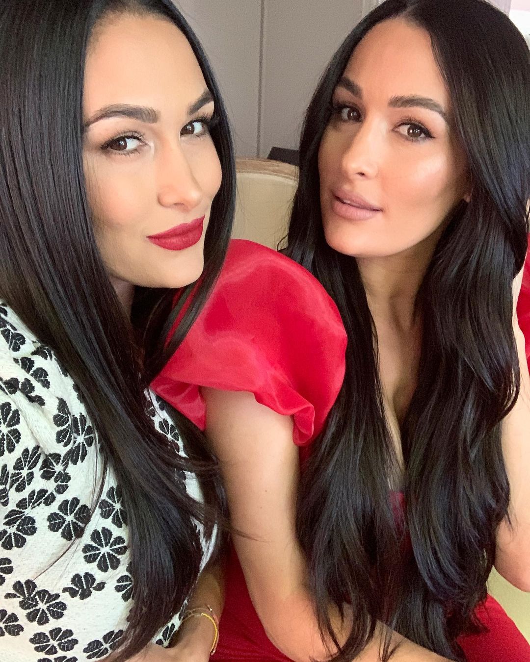 A beautiful selfie featuring Nikki and Brie Bella, with incredib