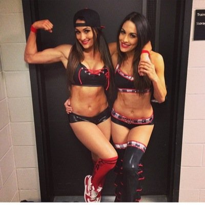 Nikki and Brie Bella