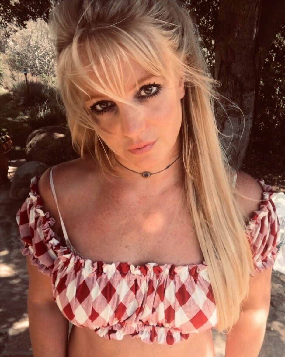 Britney Spears looks amazing in this red and white check crop top shirt outside her home.