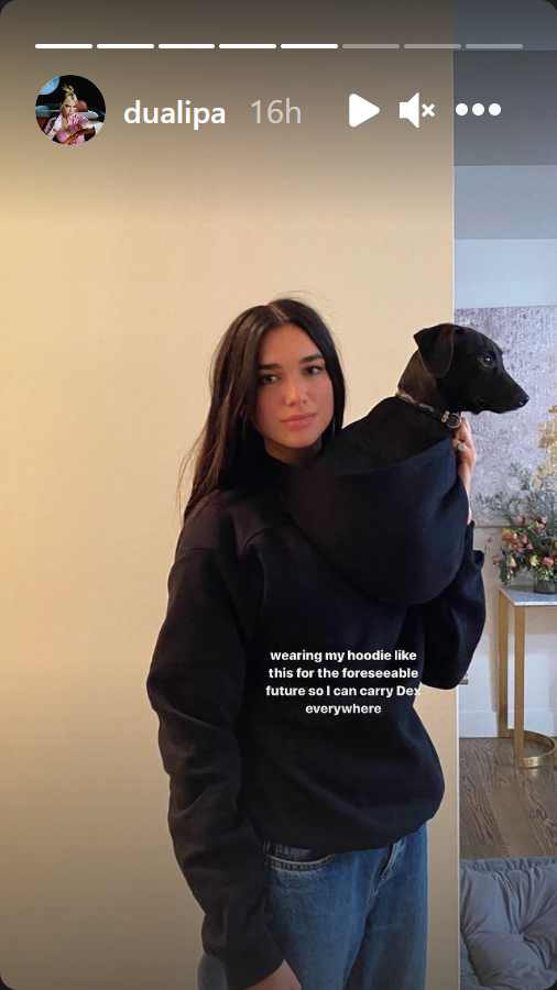 Dua Lipa with dog