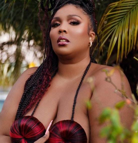 Lizzo warned her fans against drinking and DMing