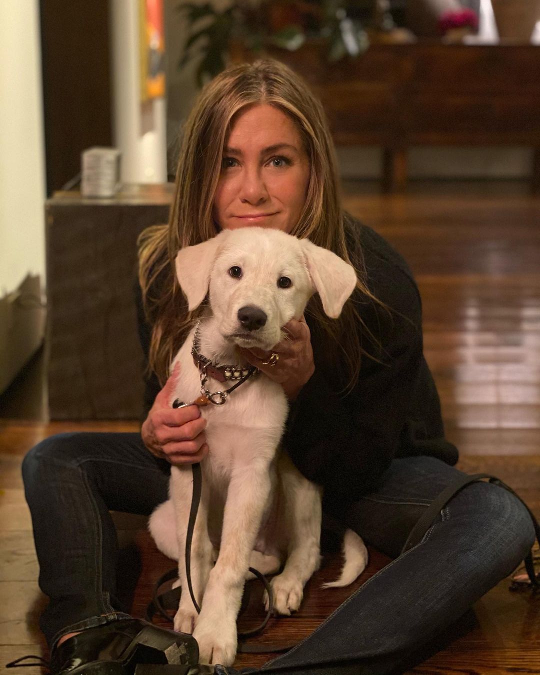 Jennifer Aniston cuddles her lovely dog in this photo, while sitting on the floor.