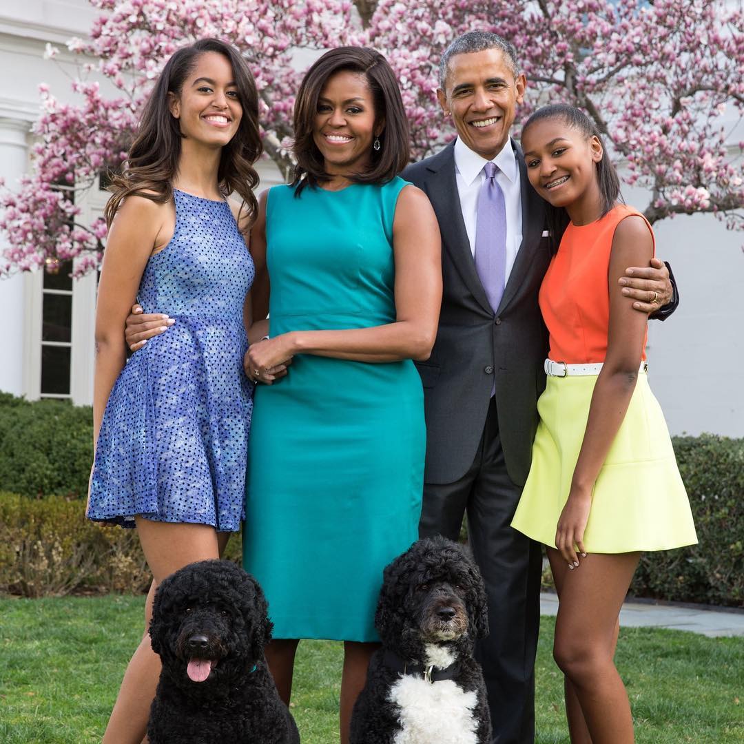 A photo of the Obama family posing with their beautiful dogs on a lawn.