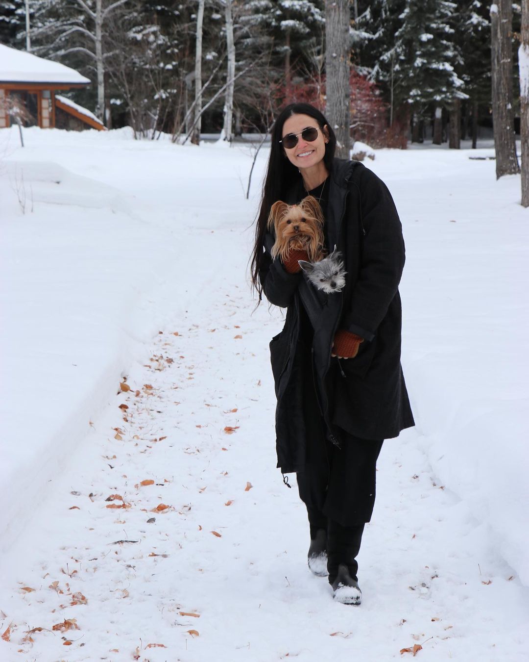 A photo showing Demi Moore holding her puppies in a snow-pose and they look amazing.