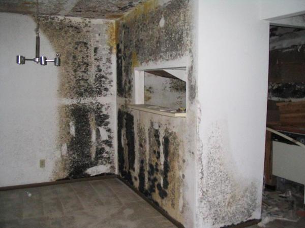7 Times People Found Secret Rooms In Their Homes