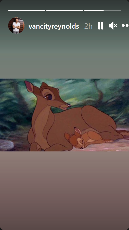 Bambi and mother from movie