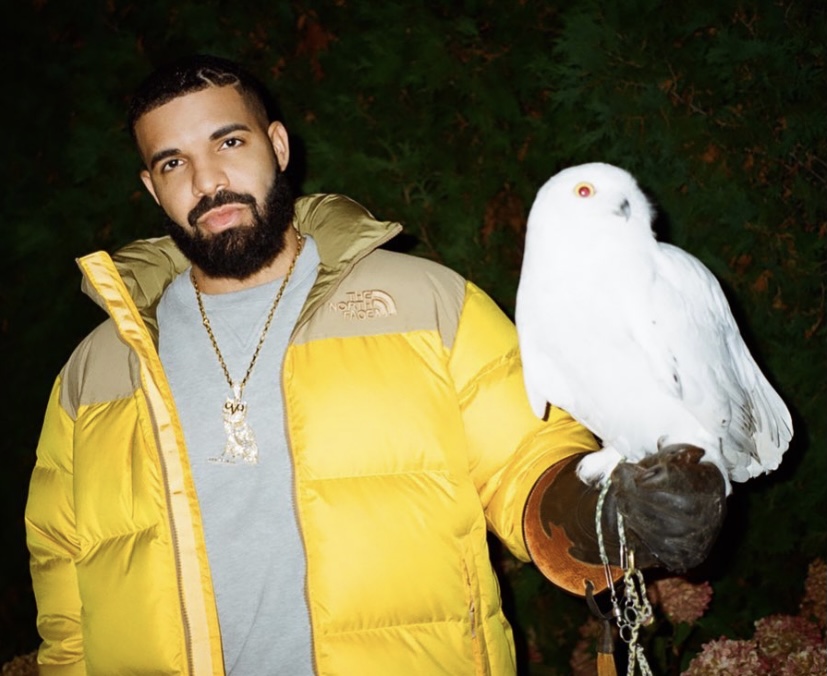 Drake with an owl, which represents his OVO brand.