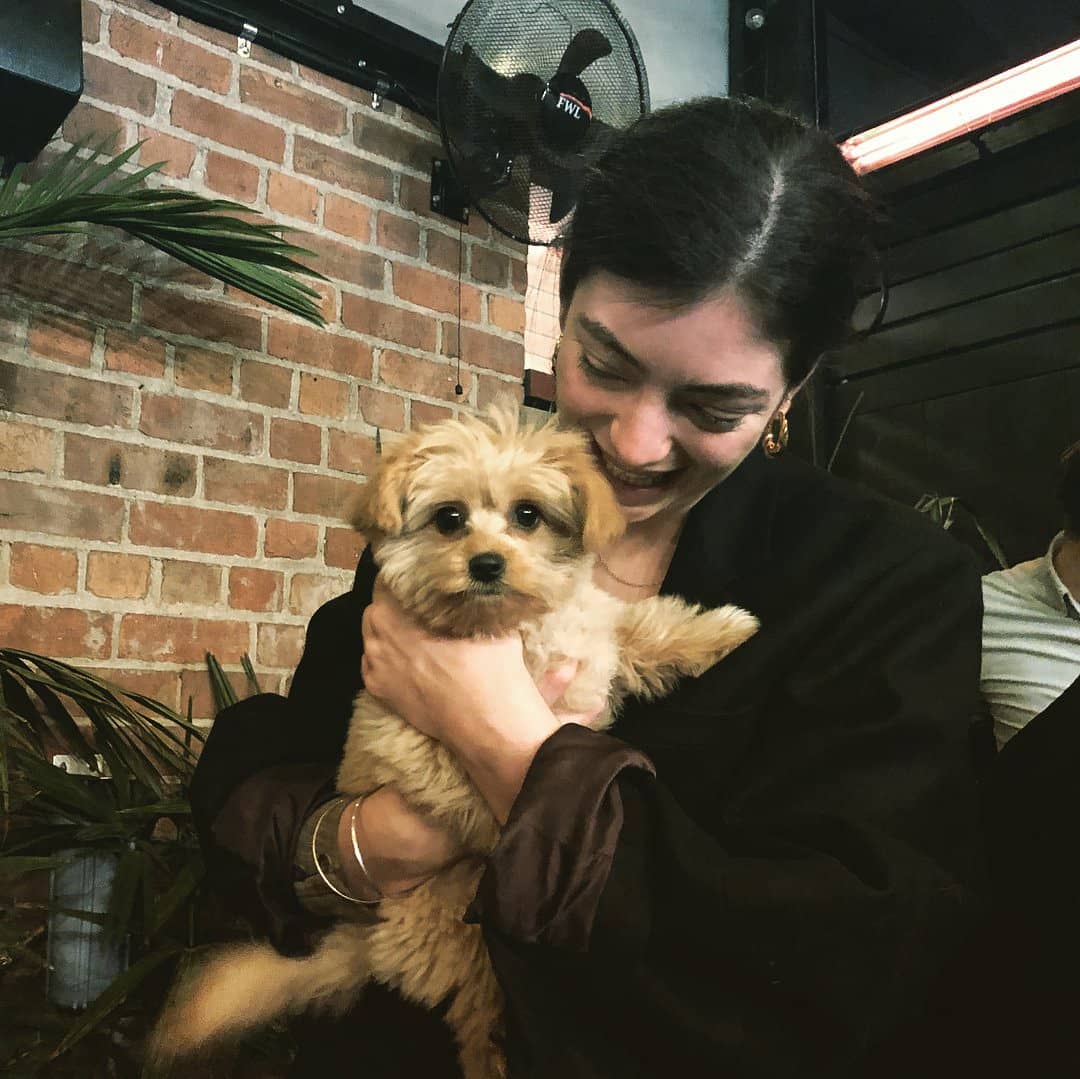 Lorde hugs her puppy as he looks straight into the camera.