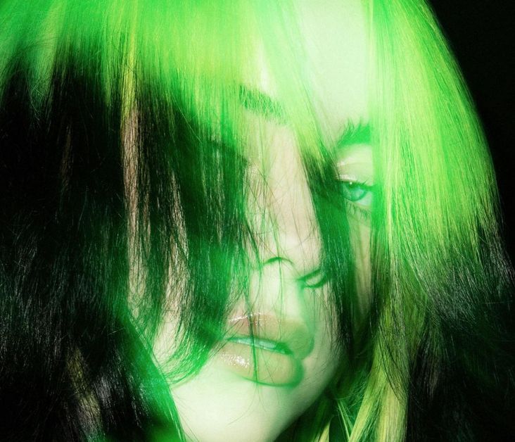 Billie Eilish selfie