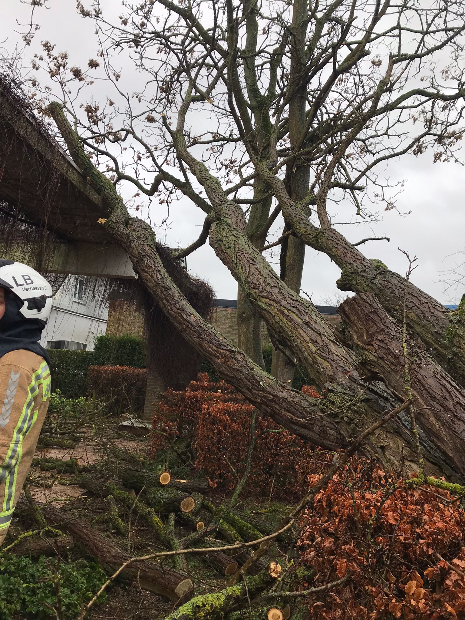 Storm 18 februari