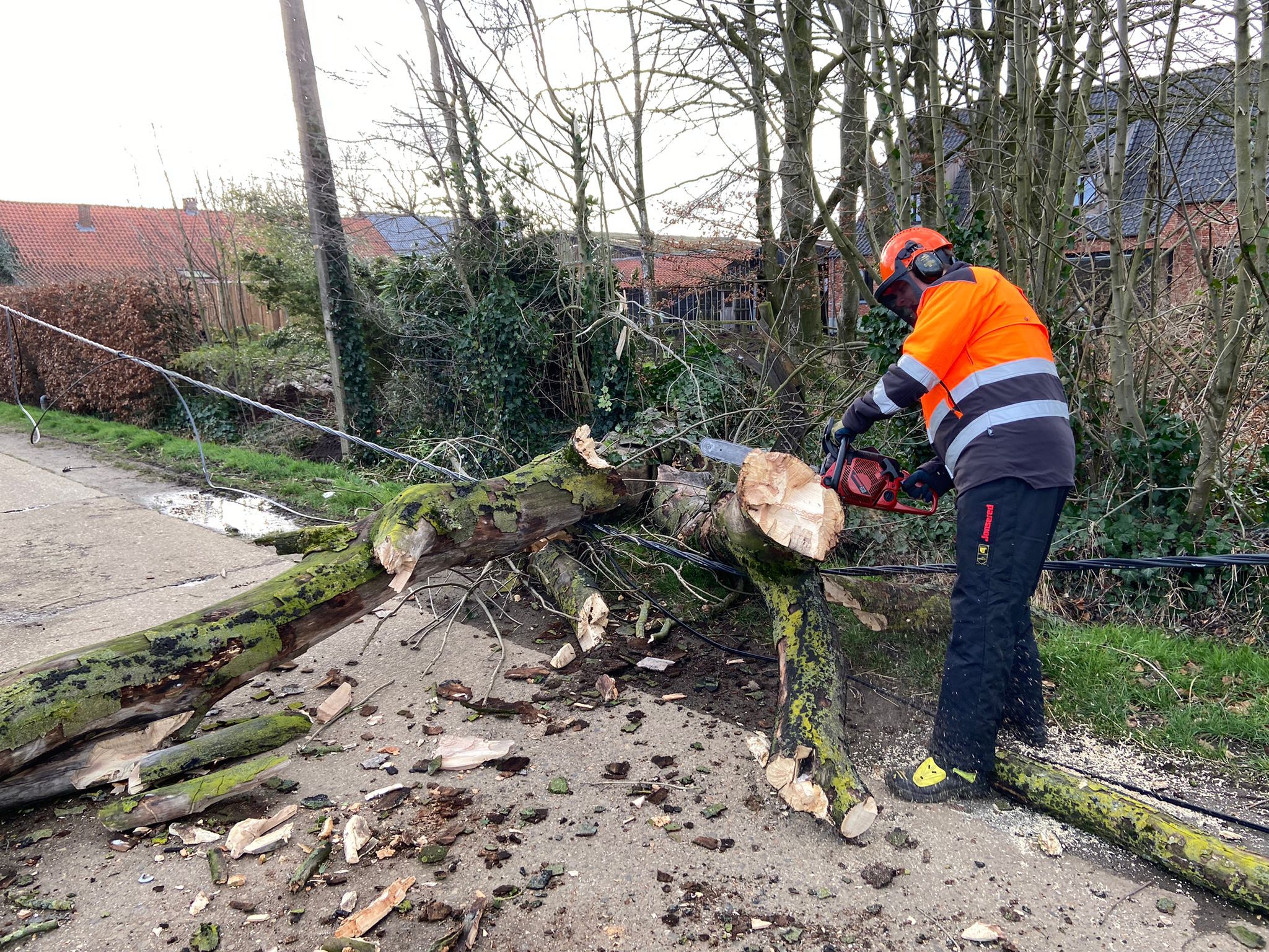 Melding stormschade