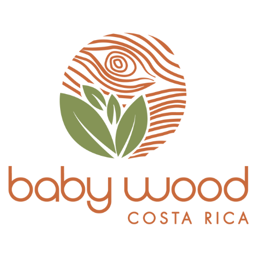 Baby Wood Costa Rica 