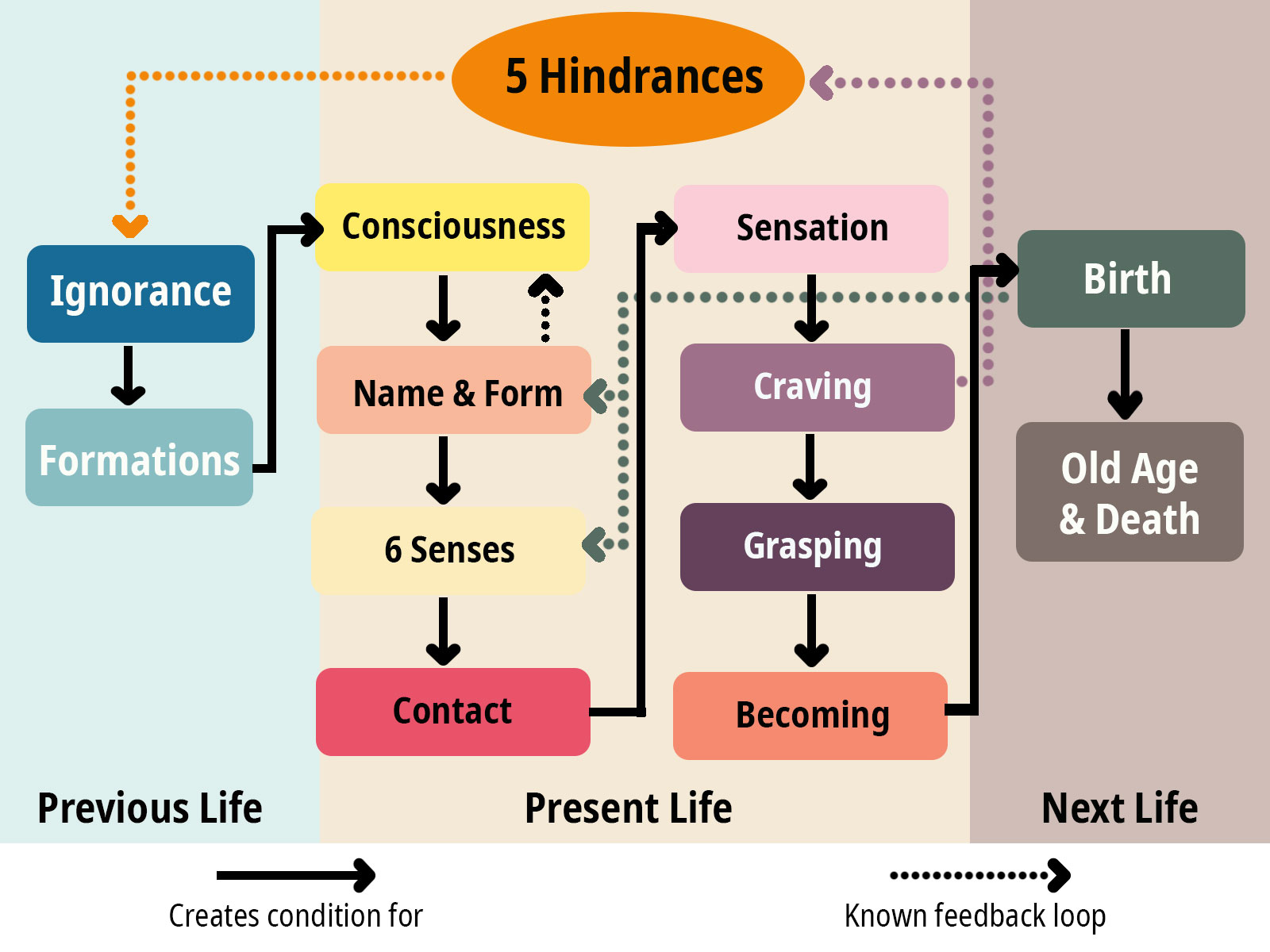 Buddhist Dependent Origination Diagram