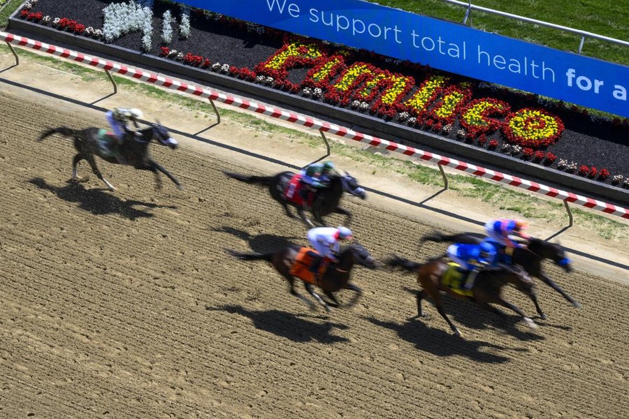 Jockeys and horses at the starting gate before a race