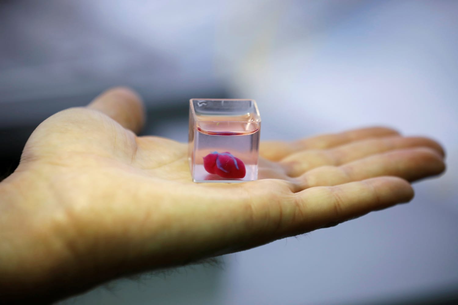 3d printed heart model with cells