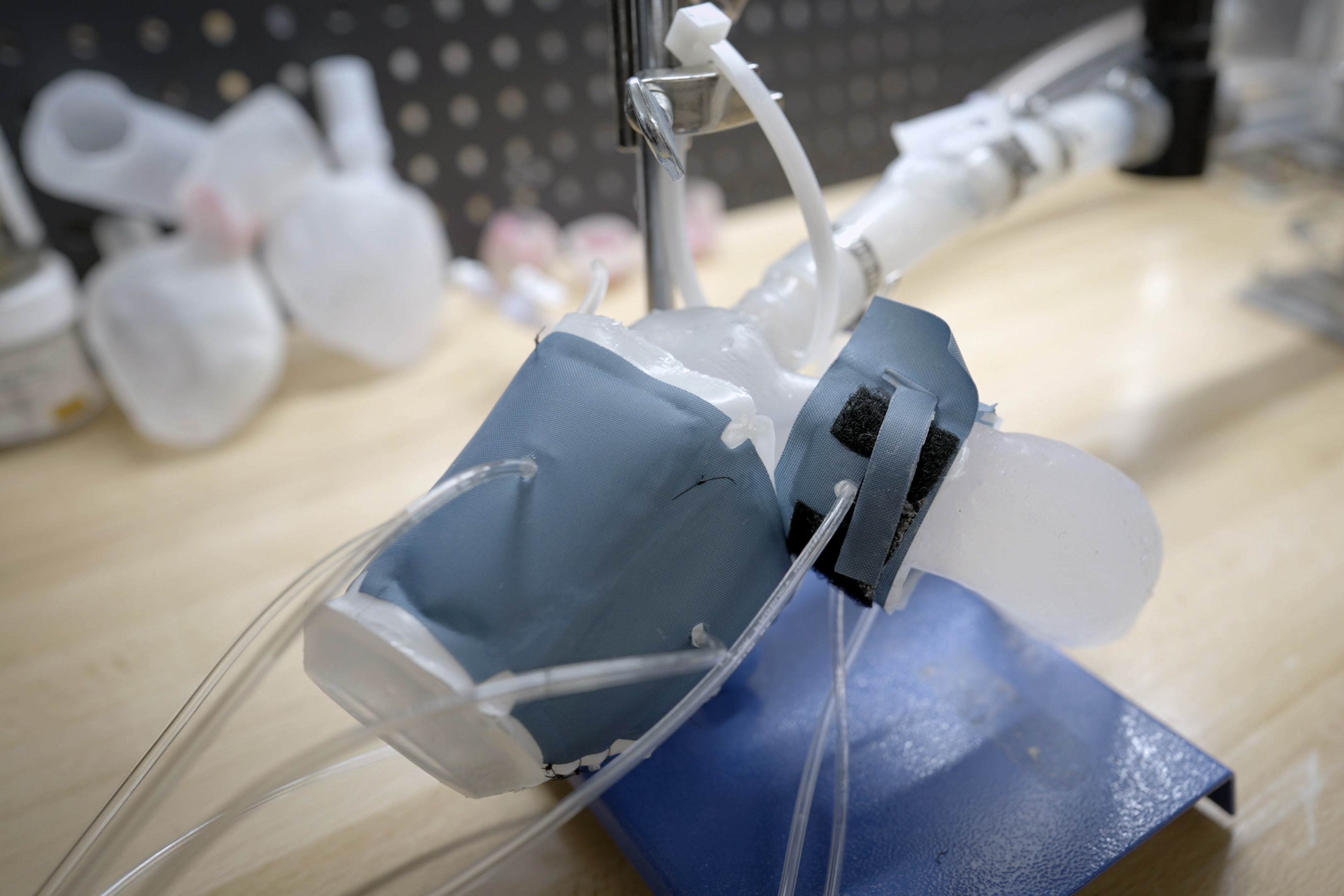 3d printed heart model in lab setup