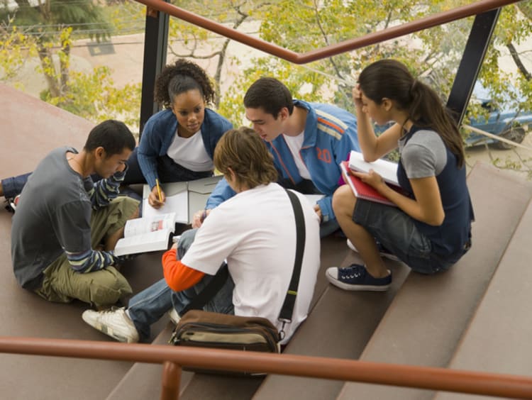 students studying on campus