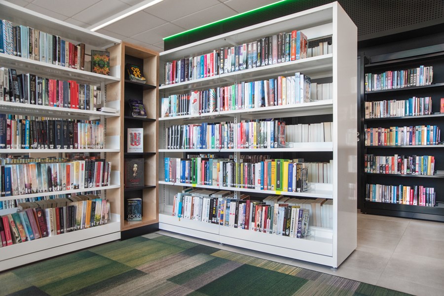 classic academic library shelves
