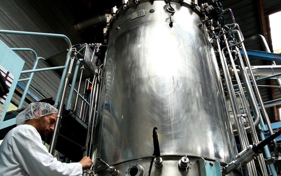 industrial yeast fermentation