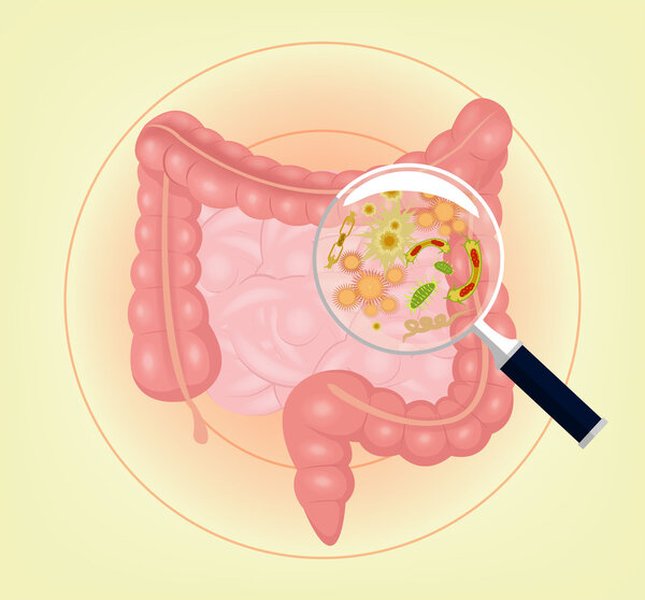 acute-gastroenteritis-low-temperature-sgi2eb1i