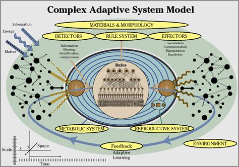 complex system modeling