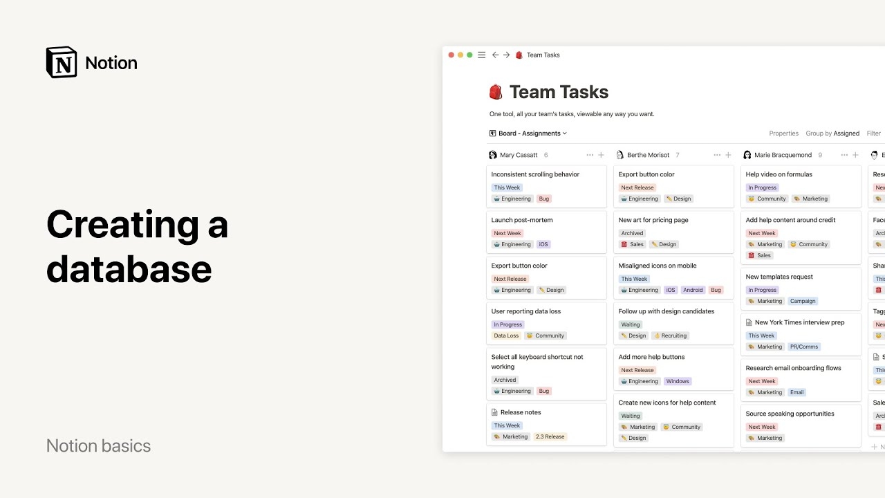 notion database setup