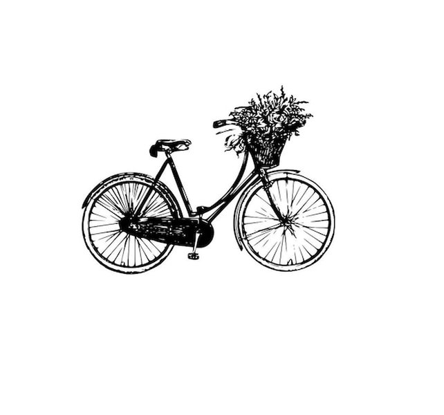 bicycle graphic design art