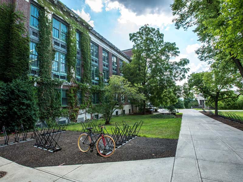 green school campus trees building
