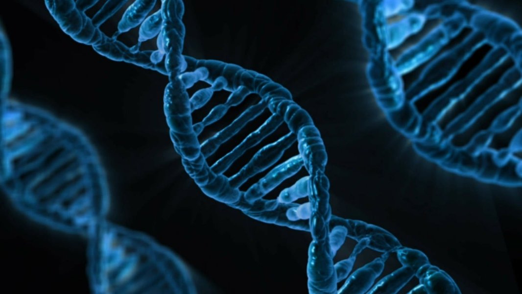 adn-partage-parent-fratrie-bescoljj