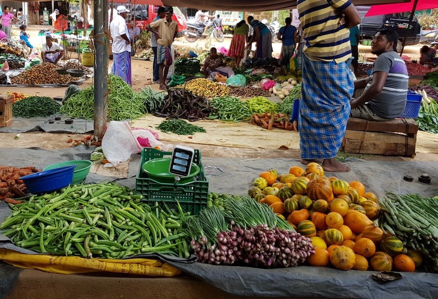 healthy vegetables market