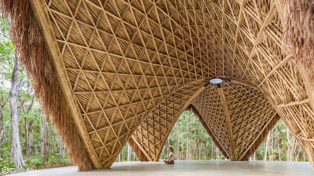 Architectural pavilion constructed using bamboo poles, demonstrating sustainable material use.