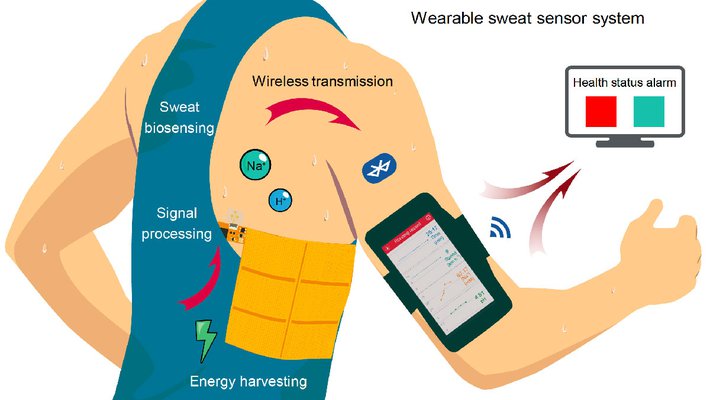 wearable sensors human movement