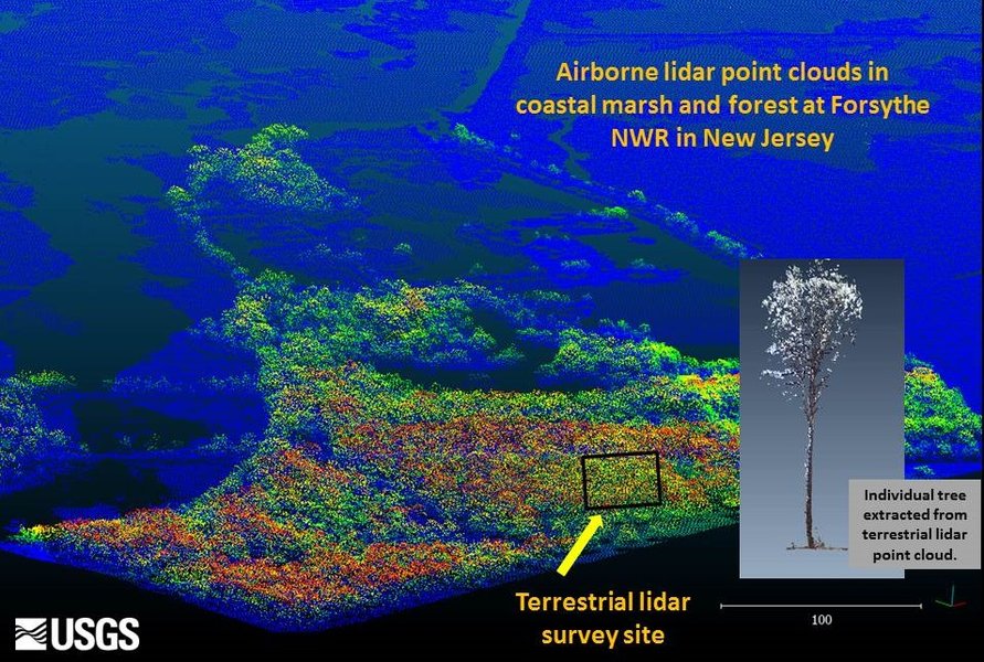LiDARが森林の樹冠を透過して地表面と樹木の高さを計測する様子を示す図