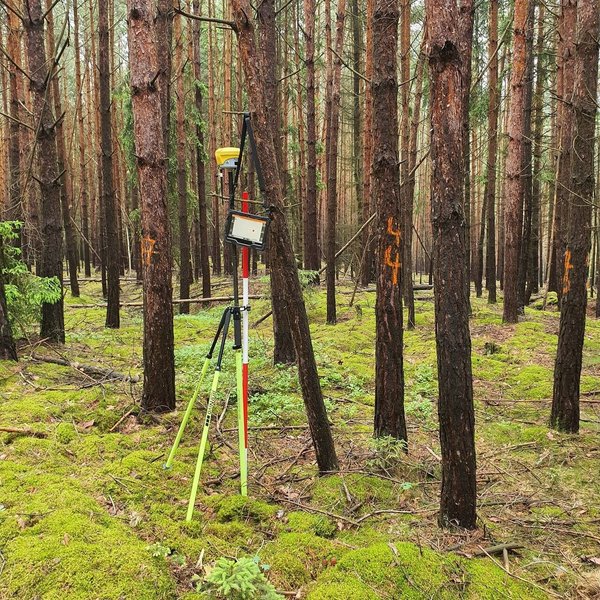 森林調査プロットでの地上測定の様子