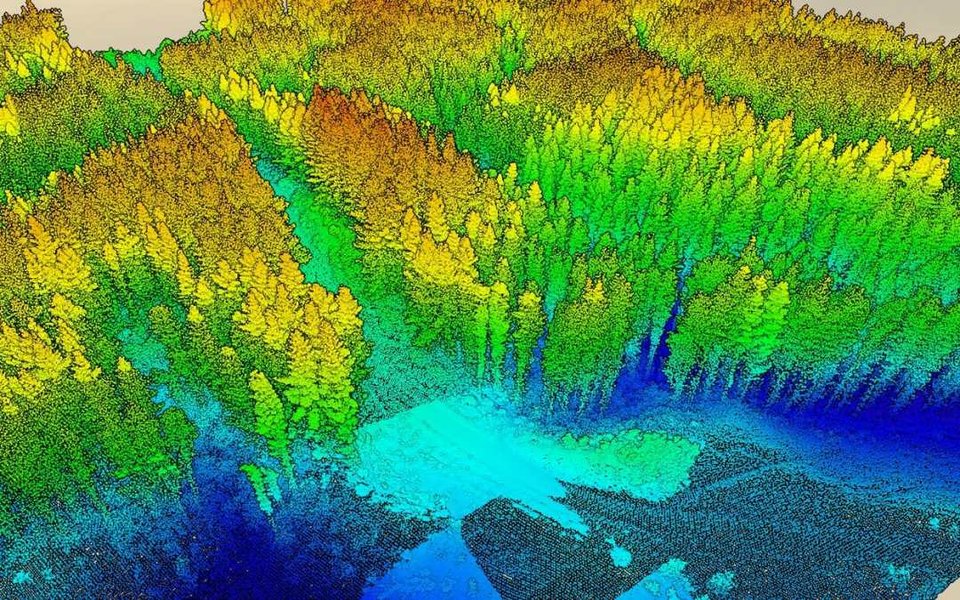 agb-estimation-remote-sensing-lidar-u15v89mk