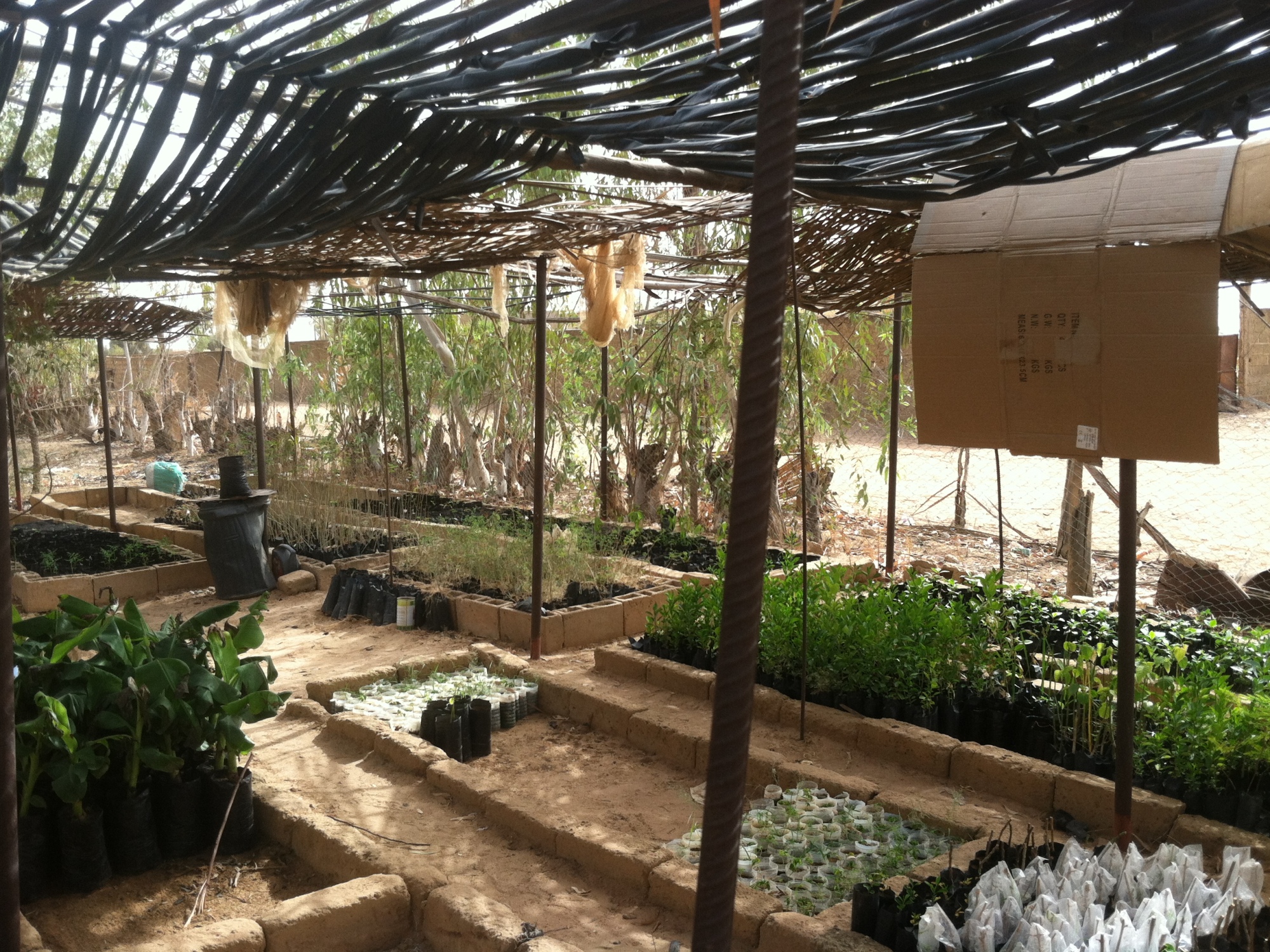 senegal agricultural nursery region fouta