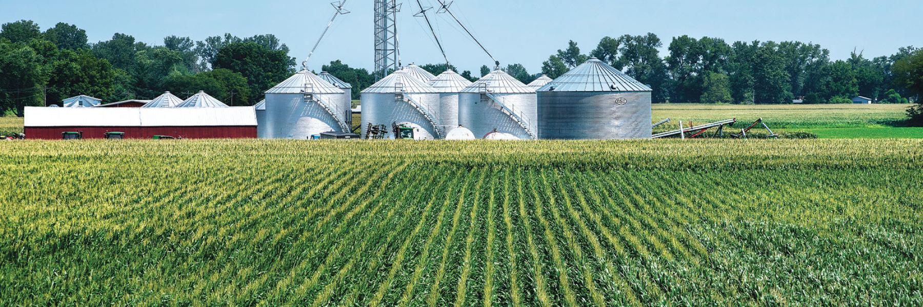 fields and farming infrastructure