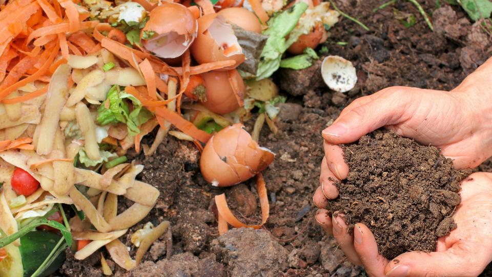 agricultural farm waste composting