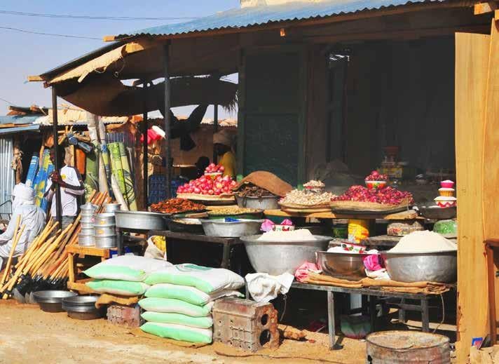 Tchad agroalimentaire market, industrial facilities, local trade