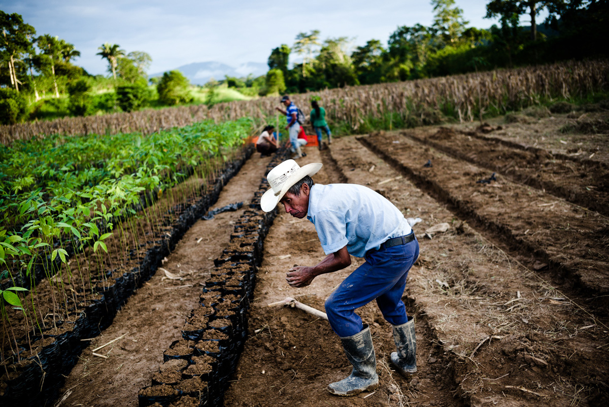 agroalimentary project field