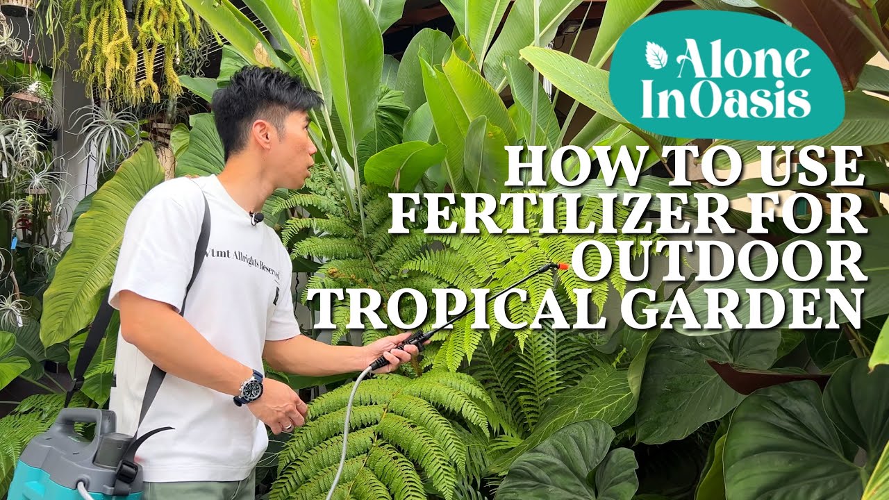 tropical farm landscape organic fertilizer