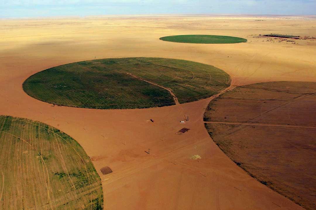 maize field Sahel landscape