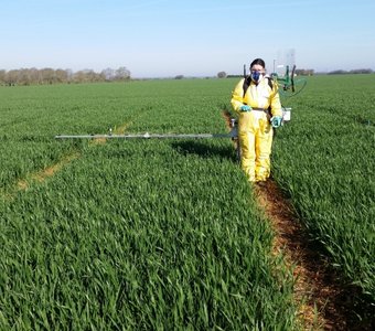 agronomy field with crops and equipment