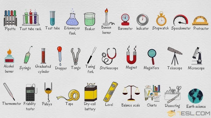 laboratory equipment alongside biological specimens
