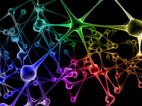 abstract brain neural network