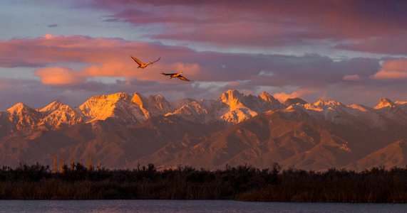 sunrise over mountains with birds
