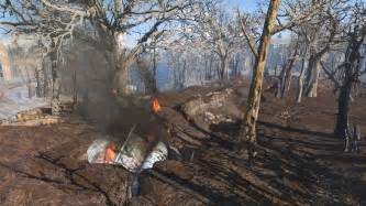 UFO crash site