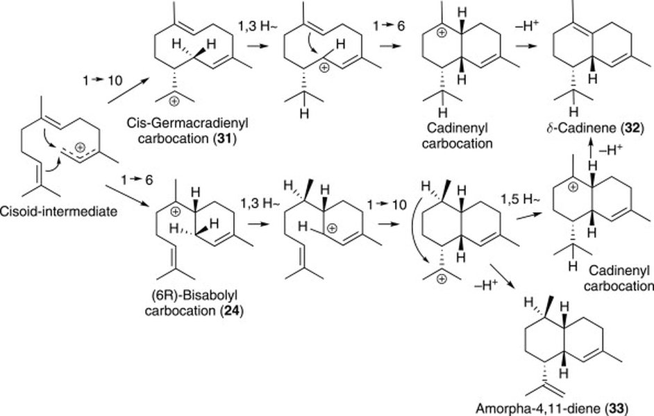 alpha-cadinene-structure-elucidation-qs1o688m