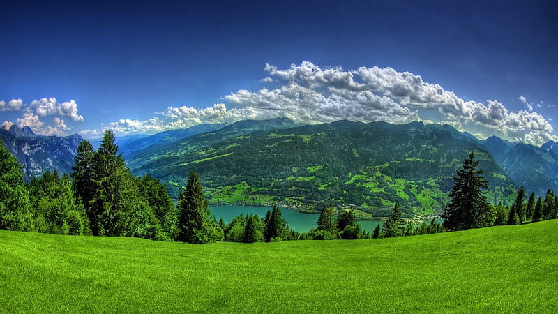 peaceful nature landscape